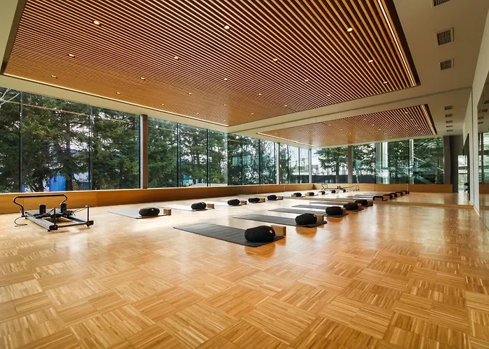 酒店 布加勒斯特皇冠假日酒店 4*